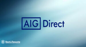 AIG Direct Life Insurance Review