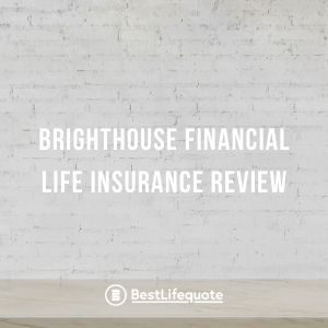 brighthouse financial life insurance