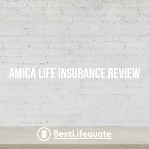 Amica Life Insurance Review